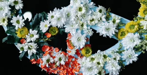 pexels cottonbro 6674035