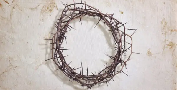 crown of thorns on white paper background PA6FMSD