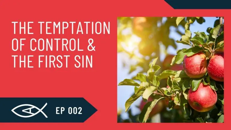 Christians for Liberty Network 35 biblical anarchy temptation