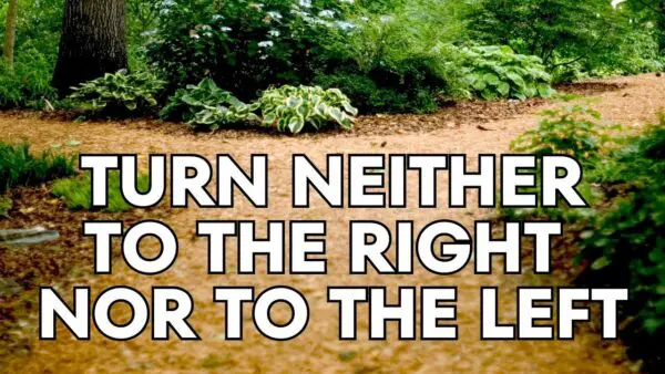 Libertarian Christian Podcast 14 Turn Neither to Right Nor Left