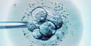 life vs personhood