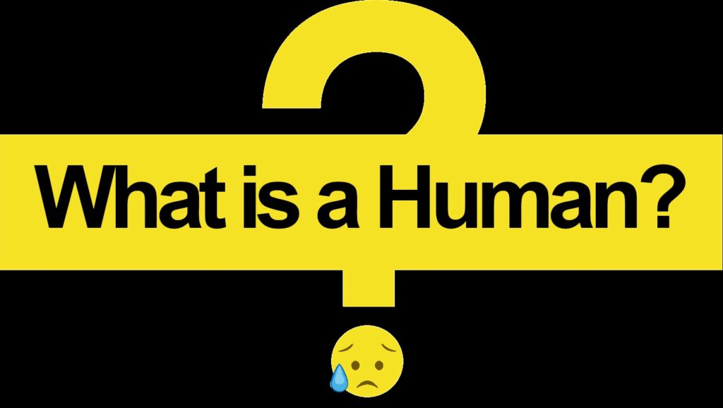 what is a human