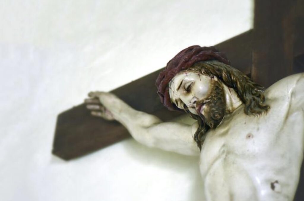 what would jesus do